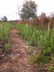 Sở Hữu Đất Vàng Vị Trí Cực Đẹp - Giá Cực Sốc Chỉ 3.4tr/m2