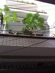 Phòng trọ ngay trung tâm đường CMT8, gần CV Lê Thị Riêng