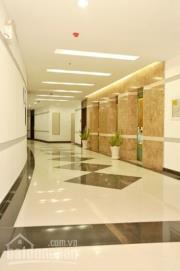 Cho thuê căn hộ Him Lam Riverside,2PN,2WC,Hướng ĐN