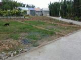 Bán đất rẻ 90 - 100 triệu Phường Long Bình, TP.Biên Hòa
