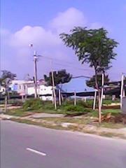 Bán đất đường Dương Vân Nga, Sơn Trà, Đà Nẵng 