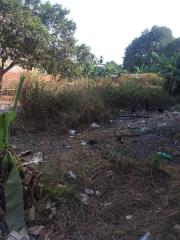 BÁN ĐẤT TẠI ĐƯỜNG NGÔ CHÍ QUỐC, THỦ ĐỨC