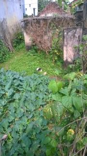 Cần bán đất ở gần khu đô thị Kim Xhung-Di Trạch