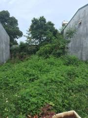 Đất gần quán nhậu Huyền Thoại Nguyễn Khuyến 5x27 475tr Tây