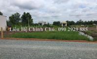 Cần bán gấp khu vực đất bình chánh 1000m2 giá siêu mềm chỉ 1