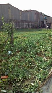 Bán đất Dĩ An chính chủ giá rẻ diện tích 100m2 sổ riêng