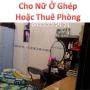 Tìm Nữ Ở Ghép hoặc Thuê Phòng tại Q.1 giá rẻ