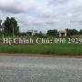Cần bán gấp khu vực đất bình chánh 1000m2 giá siêu mềm chỉ 1